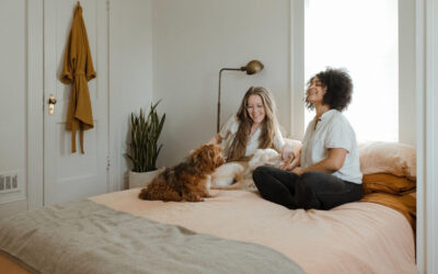 Why You Should Protest Your Property Taxes Every Year